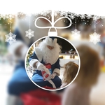 Echten Besten Nikolaus Weihnachtsmann buchen/den echten nikolaus/premium weihnachtsmann/premium darsteller weihnachtsmann/der profi santa/profi premium weihnachtsmann/preiswert buchen mieten/